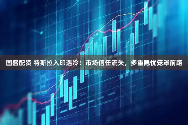 国盛配资 特斯拉入印遇冷：市场信任流失，多重隐忧笼罩前路