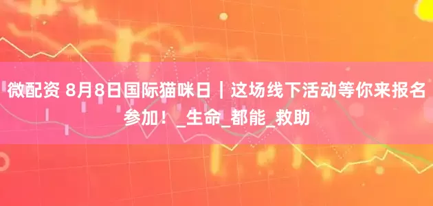 微配资 8月8日国际猫咪日｜这场线下活动等你来报名参加！_生命_都能_救助